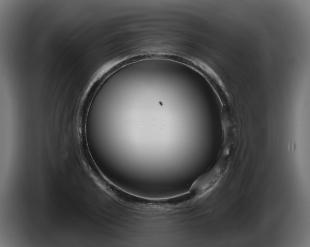 X0000086320981200704131650