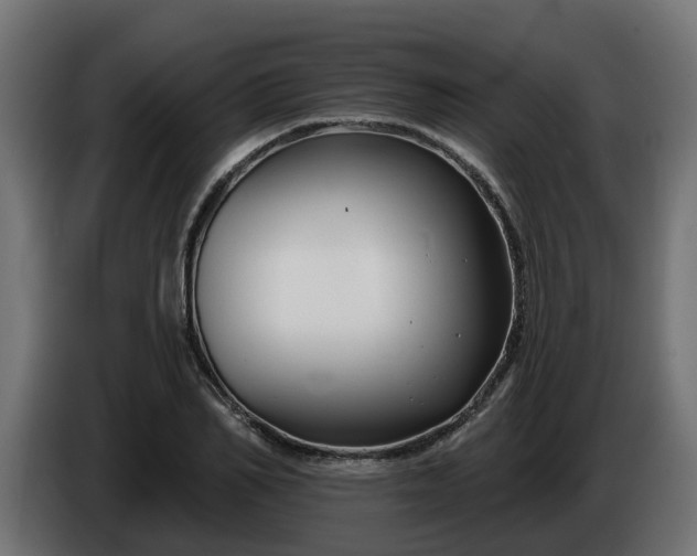 X0000086320982200704131650