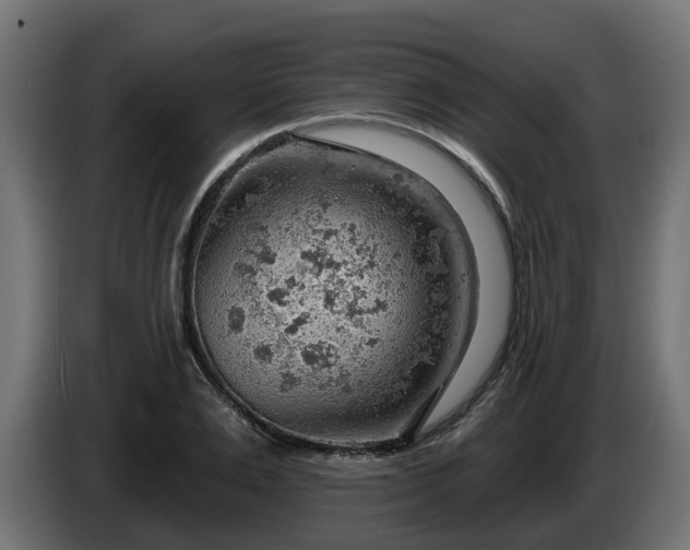 X0000086320983200704131649