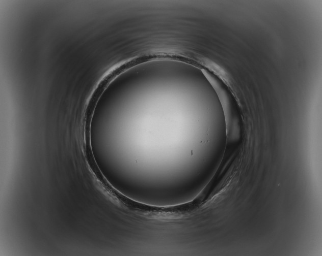 X0000086320984200704131649