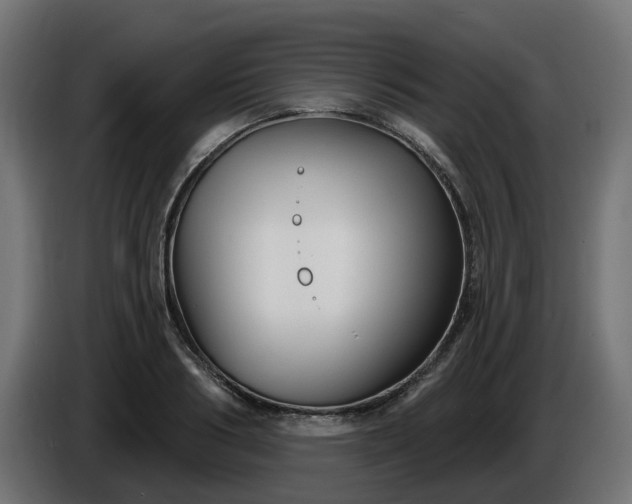 X0000086320986200704131649