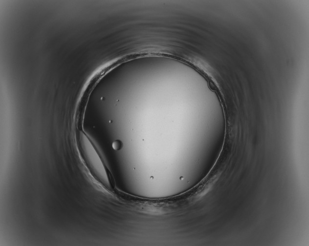 X0000086320987200704131649