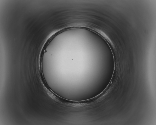 X0000086320988200704131649