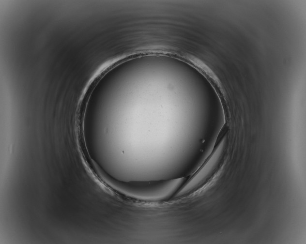 X0000086320989200704131649