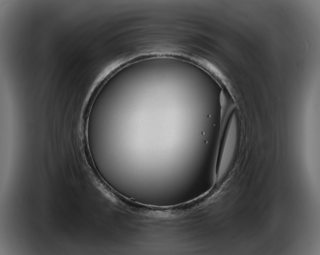 X0000086320990200704131649