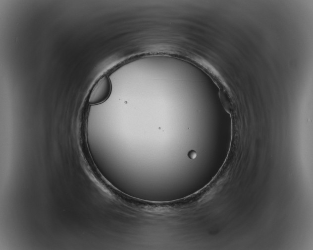 X0000086320991200704131649