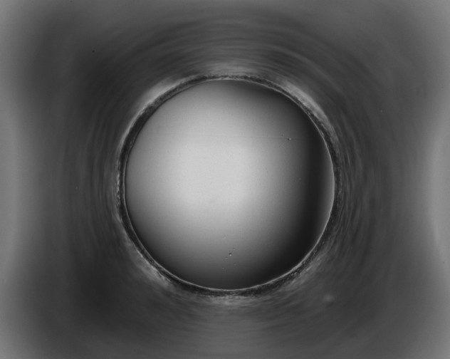 X0000086320992200704131649