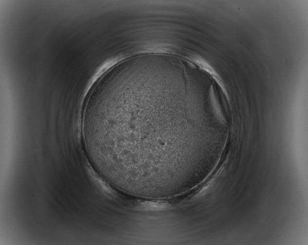 X0000086320994200704131649