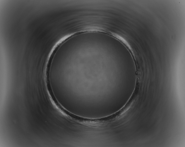 X0000086320995200704131649