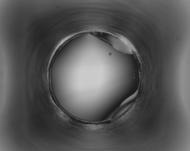 X0000086320996200704131649