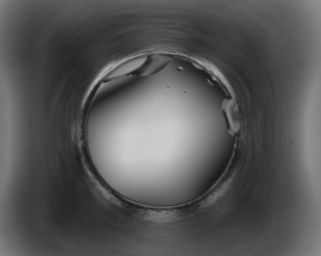 X0000086320997200704131649