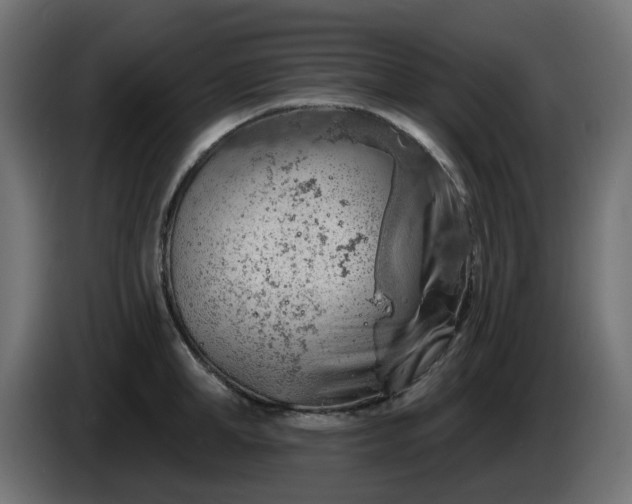 X0000086320998200704131649