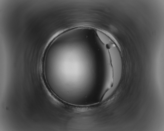 X0000086320999200704131649