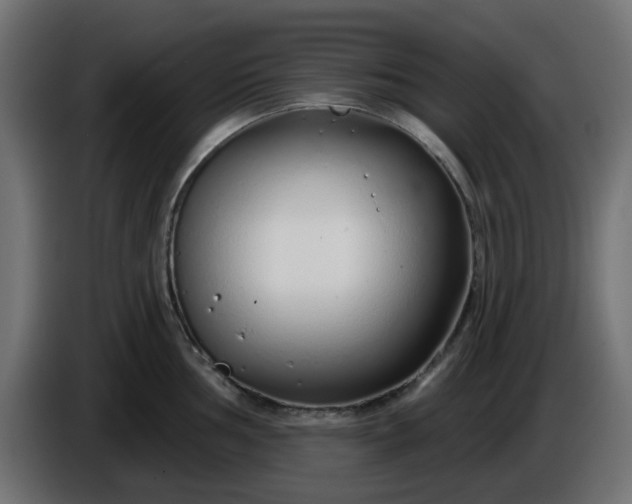 X0000086321002200704131649