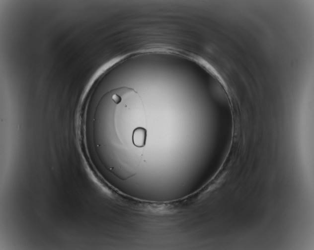 X0000086321003200704131649