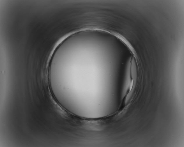 X0000086321004200704131649