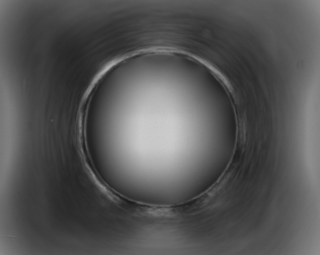 X0000086321006200704131649