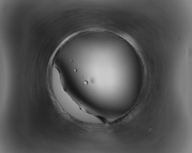 X0000086321008200704131649