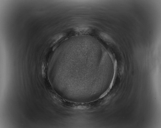 X0000086321010200704131648