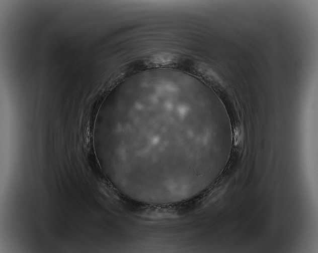 X0000086321011200704131648