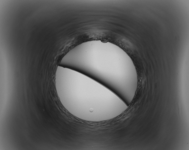 X0000086321012200704131649