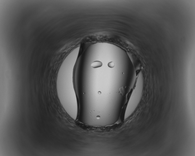 X0000086321014200704131649