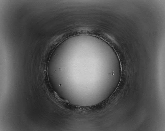 X0000086321015200704131649