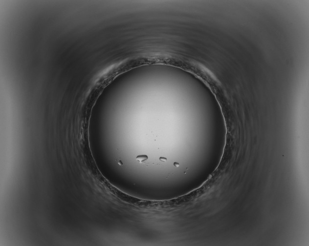 X0000086321016200704131649