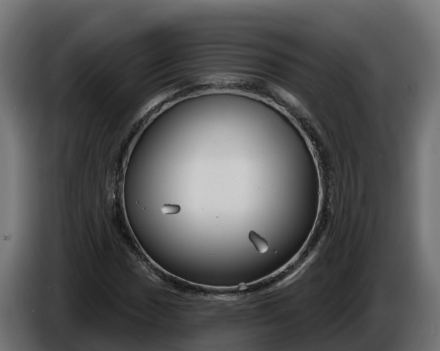 X0000086321017200704131649