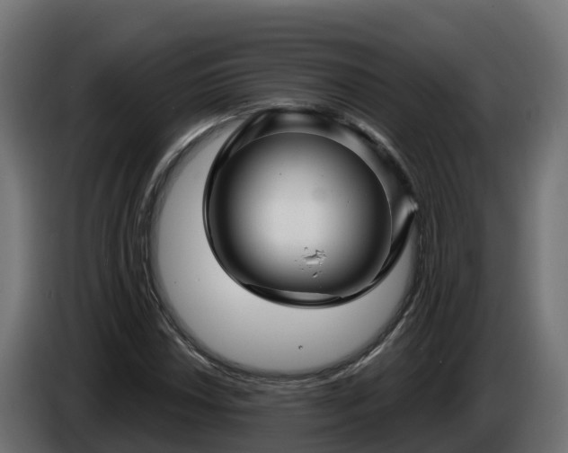 X0000086321018200704131649