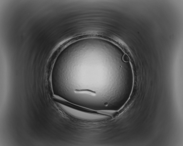 X0000086321019200704131649