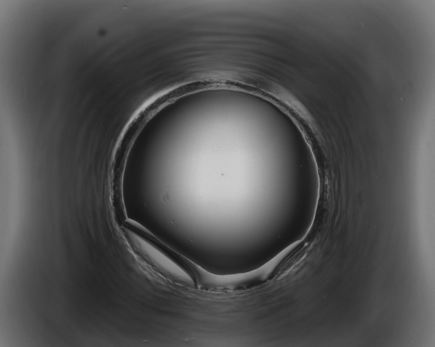 X0000086321020200704131649