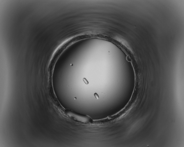 X0000086321021200704131649