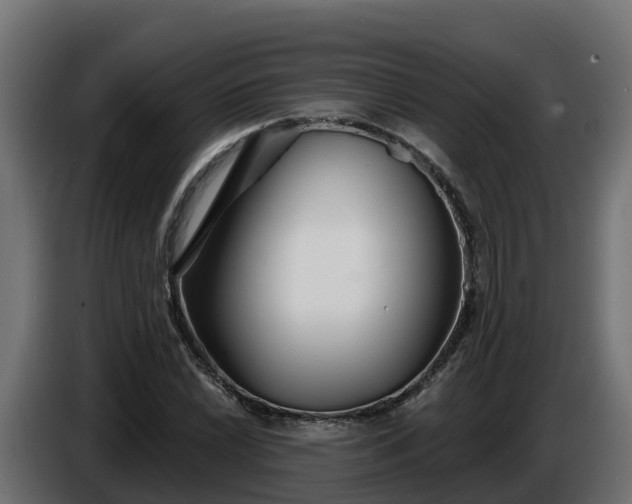 X0000086321022200704131649