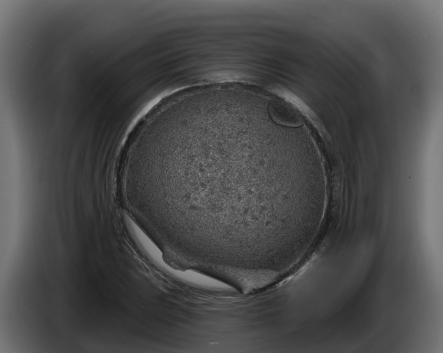 X0000086321023200704131649