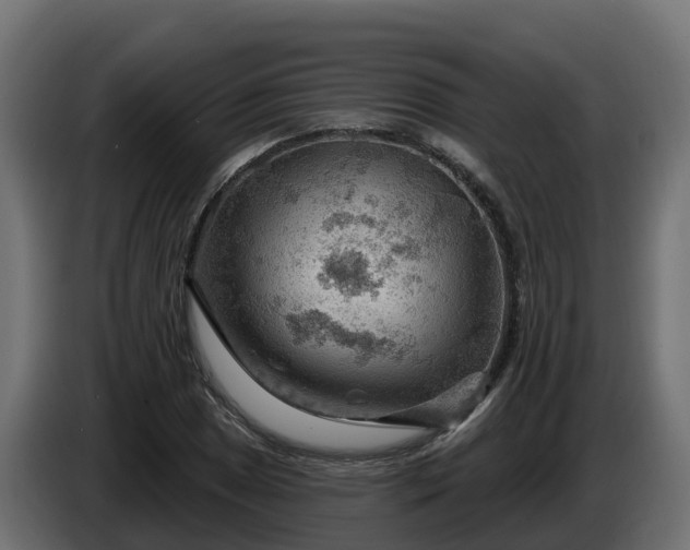 X0000086321025200704131649