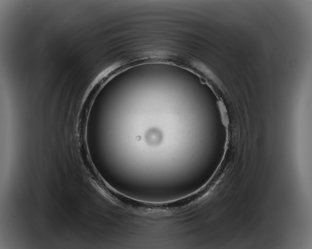 X0000086321026200704131649