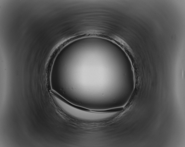 X0000086321027200704131649