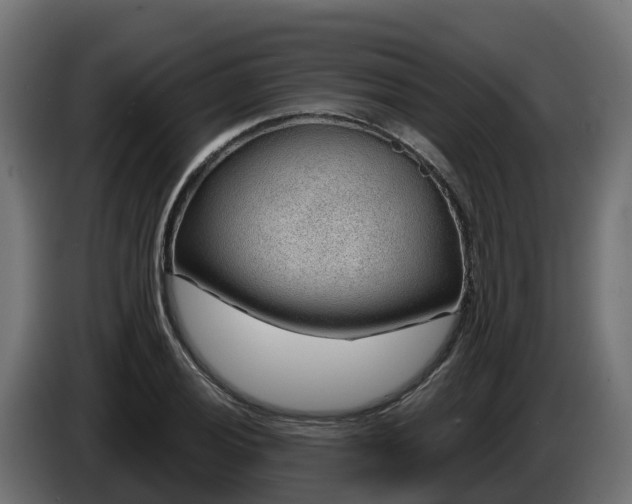 X0000086321028200704131649