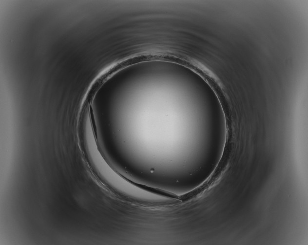 X0000086321029200704131649