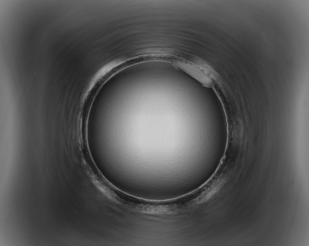 X0000086321030200704131649