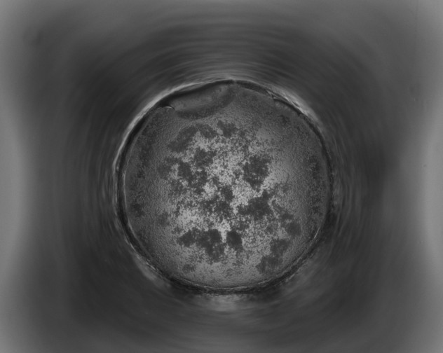 X0000086321031200704131649