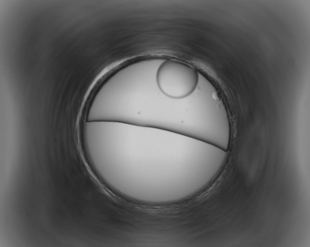 X0000086321032200704131649