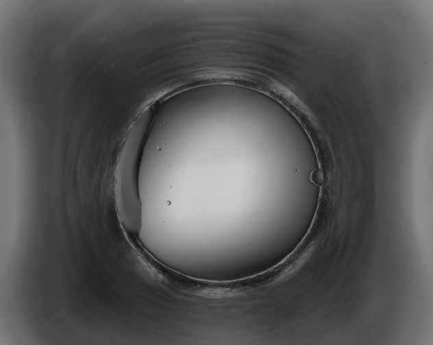 X0000086321033200704131649