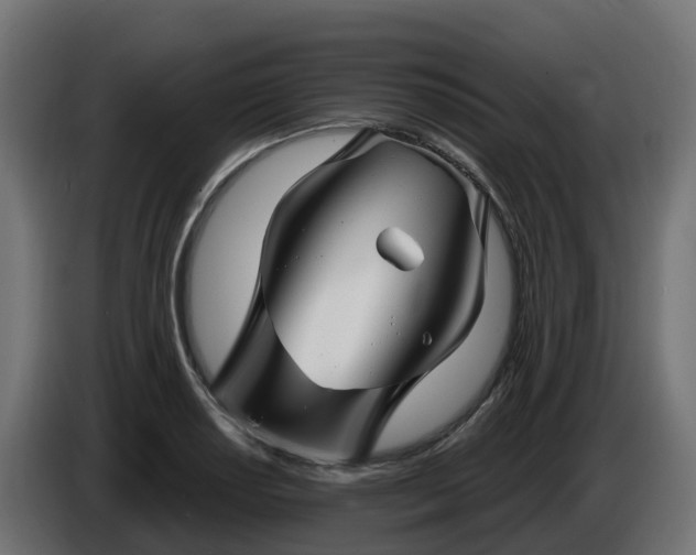 X0000086321034200704131649