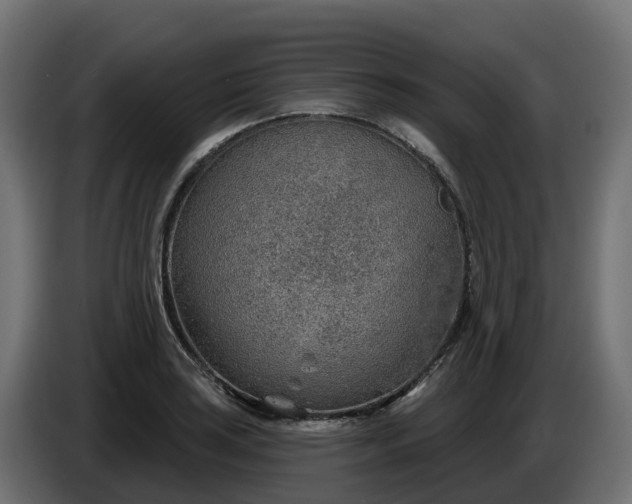 X0000086321035200704131649