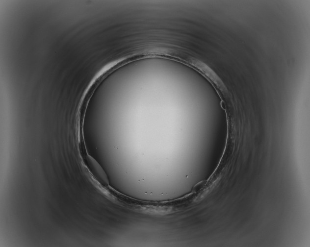 X0000086321036200704131649