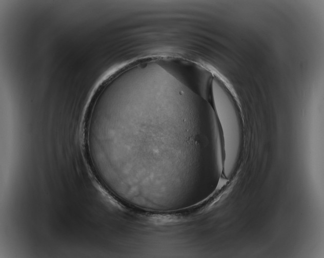 X0000086321037200704131649