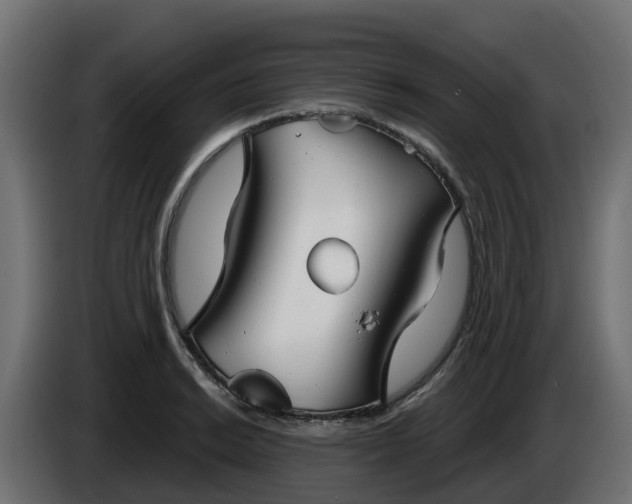 X0000086321038200704131649