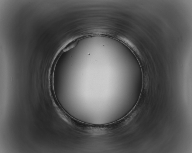 X0000086321039200704131649